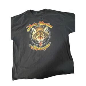 🦅 Harley-Davidson Vintage Dealer Tee Bundle 2XL (Set of 2) 🐺